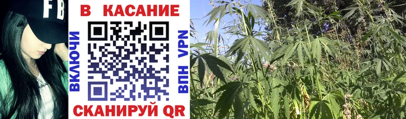 Наркошоп купить Галлюциногенные грибы Меф ГАШИШ Каннабис Кстово