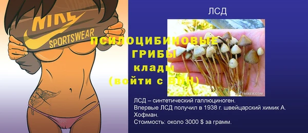 ГАЛЛЮЦИНОГЕННЫЕ ГРИБЫ Аркадак