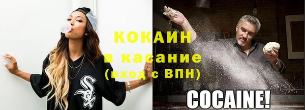 ГАЛЛЮЦИНОГЕННЫЕ ГРИБЫ Аркадак