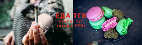 ГАЛЛЮЦИНОГЕННЫЕ ГРИБЫ Аркадак