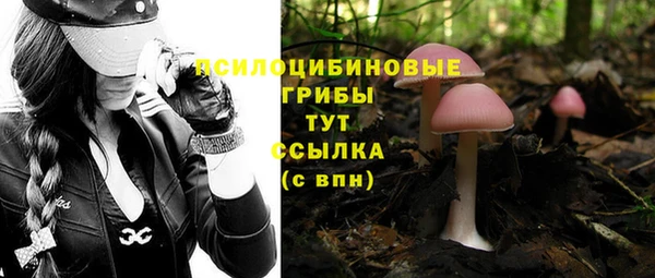 ГАЛЛЮЦИНОГЕННЫЕ ГРИБЫ Аркадак