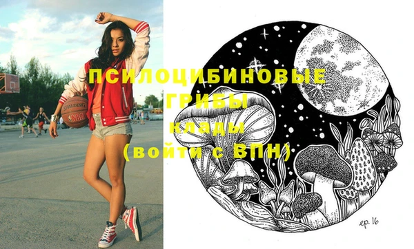 ГАЛЛЮЦИНОГЕННЫЕ ГРИБЫ Аркадак